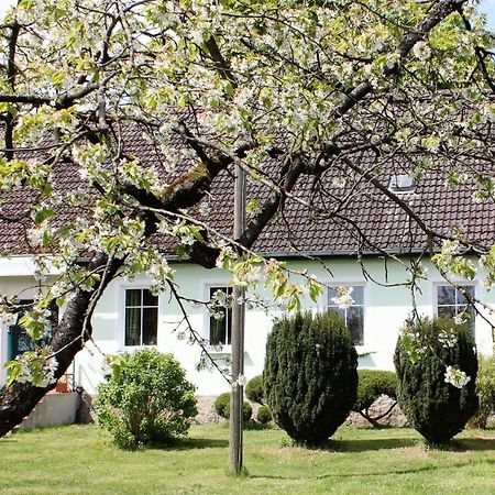 Pension Gestuet Lindenhof Templin Kültér fotó